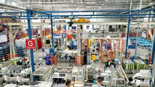 濰坊綜合保稅區 以設備更新和技術交流為抓手，全力賦能企業創新發展